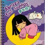 CUADERNO TAIRA CHAN ABRAZA TUS SUEÑOS